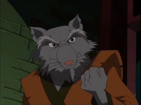 Master Splinter | TMNT 2003 Fanfiction Wiki | Fandom