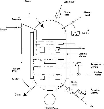 Surface Fermentation - Flavouring Substances - Barnard Health Care