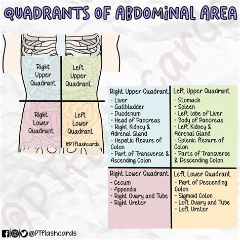 PT flashcards on Twitter: "4 ABDOMINAL QUADRANTS Reference: Tortora, Gerard J., and Bryan ...