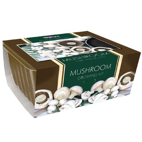 Small White Button Mushroom Kit on Sale