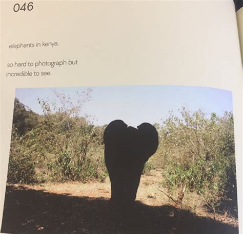 Brooklyn Beckham And His Fascinating Elephant Photography