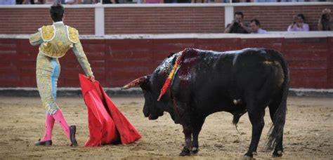 Spanish Matador's Death Is Further Proof That Bullfighting Must Be Banned