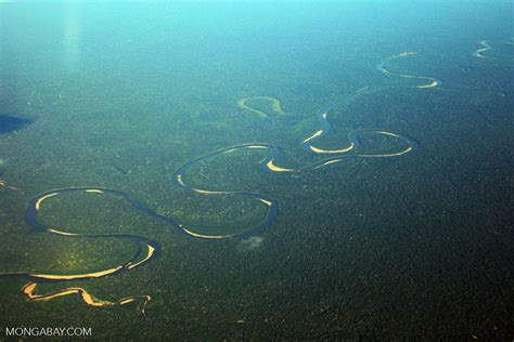 Aerial view of Amazon basin rainforest