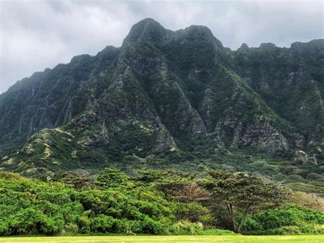 Jurassic Park Tours in Oahu: all you need to know - Hellotickets