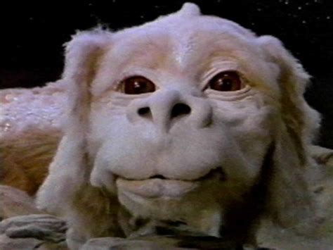 I Have Seen The Whole Of The Internet: Neverending Story Dog