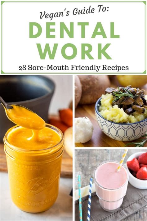 Vegan's guide to dental work: 28 sore-mouth friendly recipes with ...