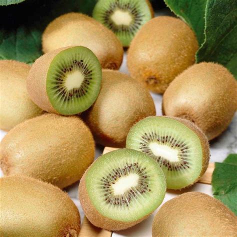 Kiwi Fruit Seeds