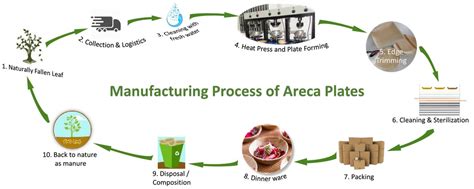 Manufacturing Process of Areca Leaf Plates - KKN Exports Blog