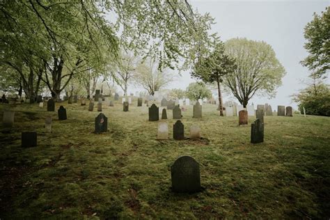 A Natural Burial: 5 Ways We Can Green the Funeral Industry