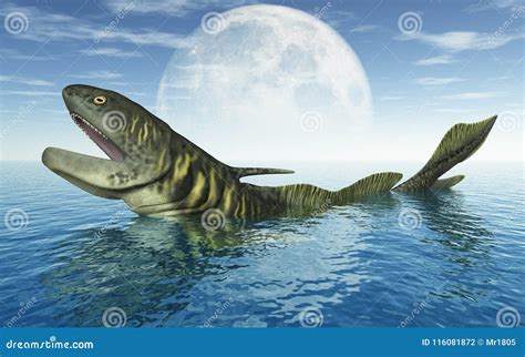 Prehistoric Shark Edestus Royalty-Free Illustration | CartoonDealer.com #161357715