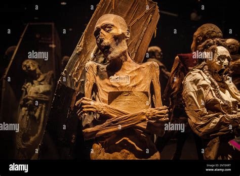 Museum of the Mummies, Guanajuato, state Guanajuato, Mexico Stock Photo - Alamy