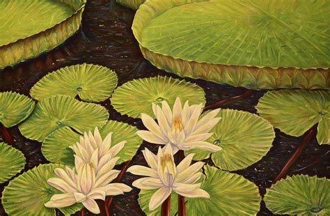 Victoria Regia, the Amazon water lily Painting by David Morales Izquierdo - Pixels