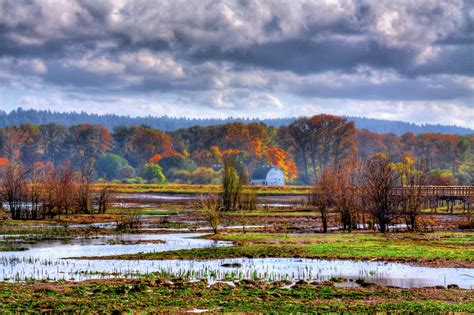 Nisqually Wildlife Refuge P34 Photograph by David Patterson