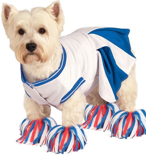 Halloween dog costume ideas: 32 easy, cute costumes for your canine ...