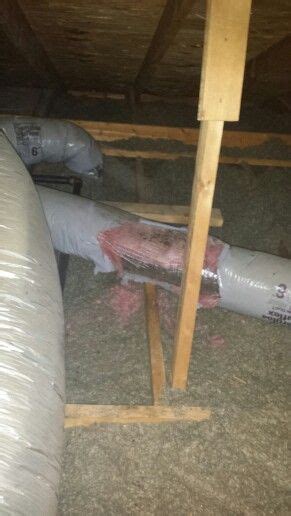 Roof rat damage to ducking up in a attic San Antonio Texas http://www.abolishpestwildlifecontrol ...