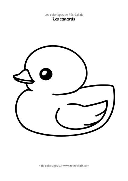 Coloriage canard mignon | Dessin à colorier & imprimer en PDF