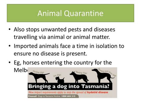 PPT - Quarantine PowerPoint Presentation, free download - ID:2578501