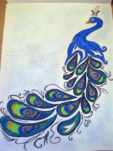 Peacock Drawing · A Drawing · Drawing on Cut Out + Keep · Creation by