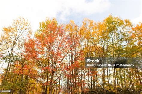 Fall Colors In The Smoky Mountains Stock Photo - Download Image Now ...