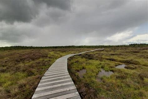 Seven Thousand Years of Bog Bodies Reveal a Grim Burial Tradition - The New York Times