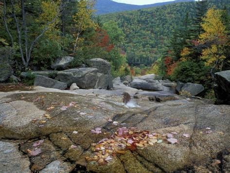 Fall Foliage, Appalachian Trail, White Mountains, New Hampshire, USA Photographic Print by Jerry ...