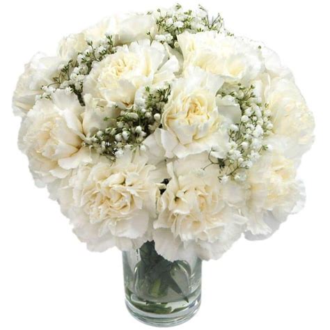 White Carnations - For delivery throughout the UK from Clare Florist.