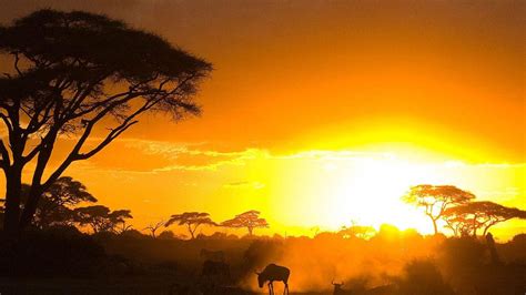 Kenya Wallpapers - Wallpaper Cave