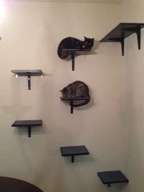 Loading... | Cat shelves, Ikea cat, Animal room