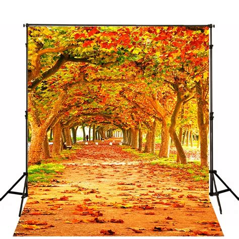 Autumn Leaves Backdrops Photographic Backgrounds Children Photo ...