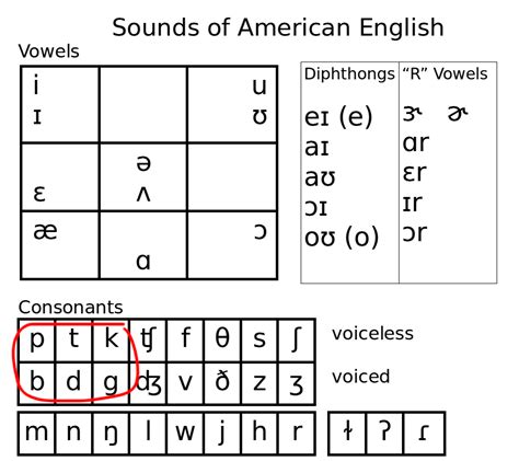 Lesson 6 – Plosive consonants /p/, /b/, /t/, /d/, /k/, /g/ – American ...