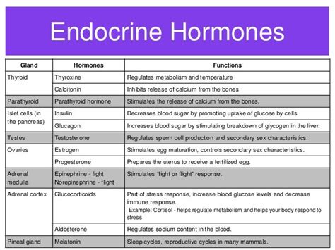 Endocrine system hormones