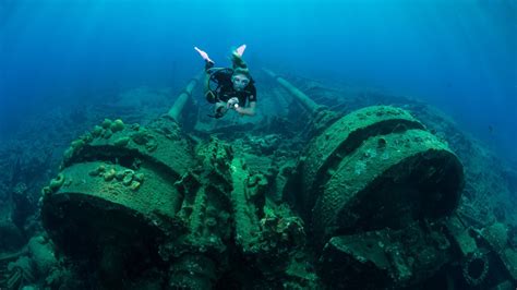 Home — Dive Bermuda at Grotto Bay