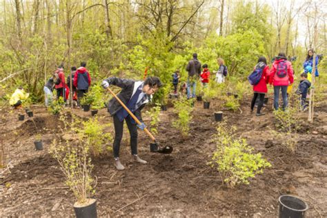 Partners in Planting – Tree Canada