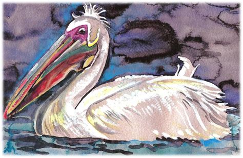 "White Pelican" Watercolor Painting Print