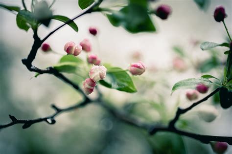 Spring Rain on Behance