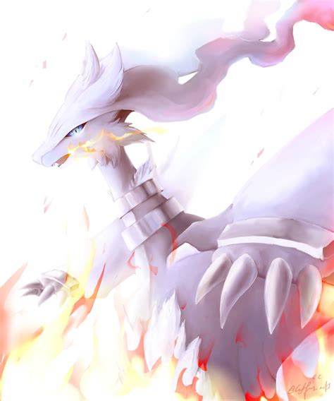 Reshiram Fanart | Pokémon Amino