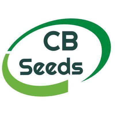 Channel Seed Logo - LogoDix