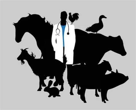 Veterinary Medicine Symbol, Vet Medicine, Veterinary Surgeon, Veterinary Hospital, Veterinary ...