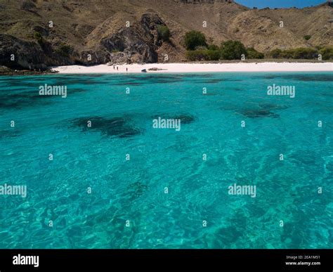 Pink Beach Padar Island Komodo National park, Indonesia Stock Photo - Alamy