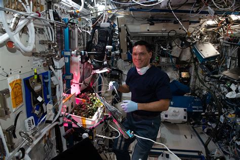 Astronaut Frank Rubio checks tomato plants for the XROOTS … | Flickr