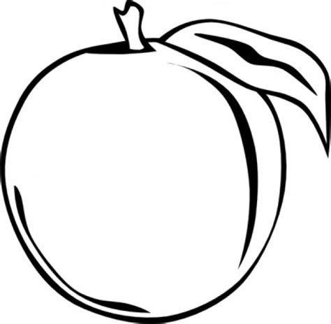 Free Peach Clip Art, Download Free Peach Clip Art png images, Free ClipArts on Clipart Library