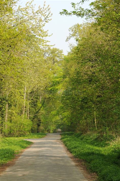 Saint-Germain-en-Laye, France - April 3 2017 : the National Forest ...