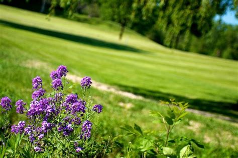 Kearsley Lake Golf Course - Flint & Genesee Group