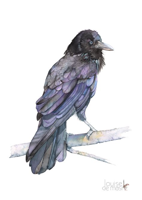 Crow painting, Bird watercolor print, Watercolor bird