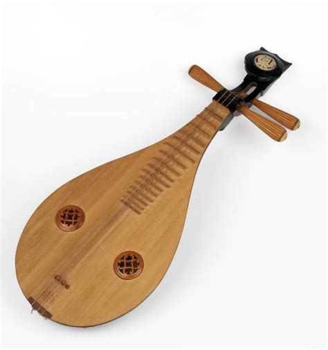Asian stringed instrument - senturinlinked