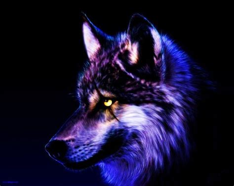 Pin by inder saini on Wolves United | Wolf wallpaper, Wolf background, Wolf pictures