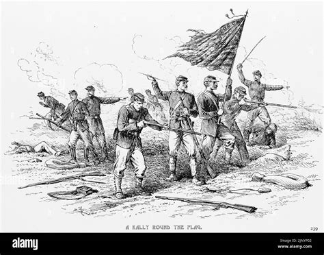 A Rally Round the Flag. Union Army. 19th century American Civil War illustration by Edwin Forbes ...