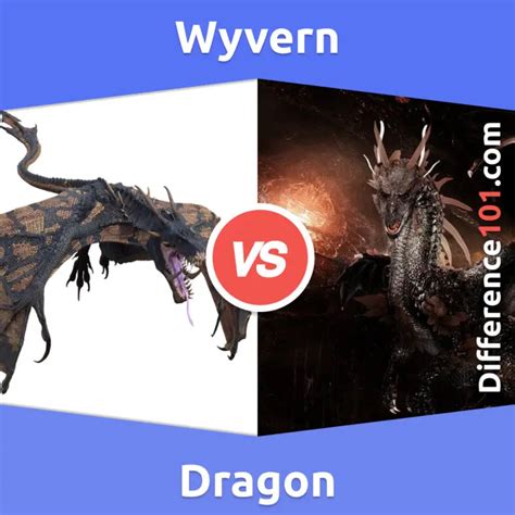 Dragon vs. Wyvern: 6 Key Differences, Pros & Cons, Similarities | Difference 101