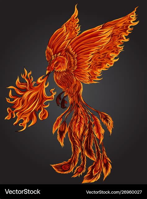 Phoenix fire bird Royalty Free Vector Image - VectorStock