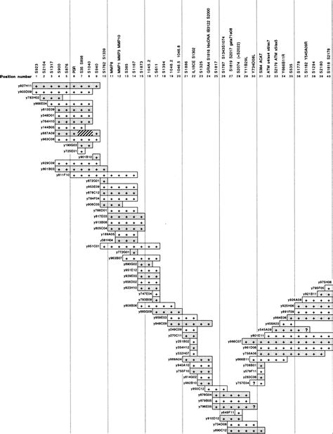 Localization of Jacobsen Syndrome Breakpoints on a 40-Mb Physical Map ...